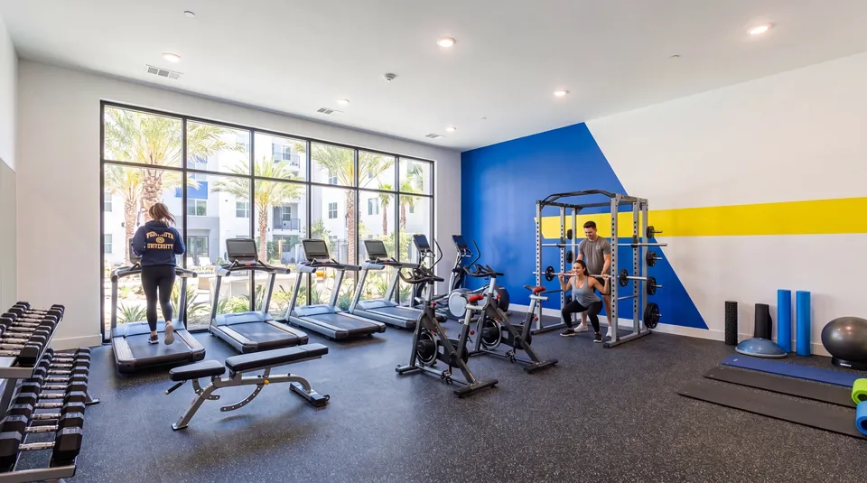 The gym downstairs